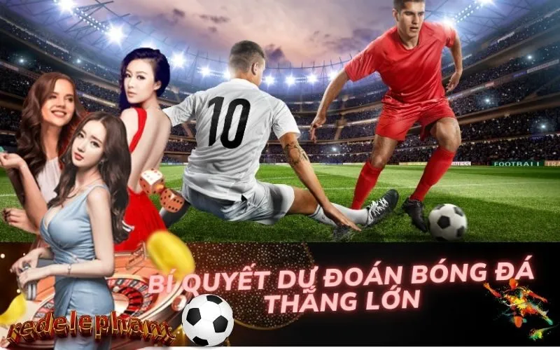 Bí Quyết Dự Đoán Bóng Đá Thắng Lớn