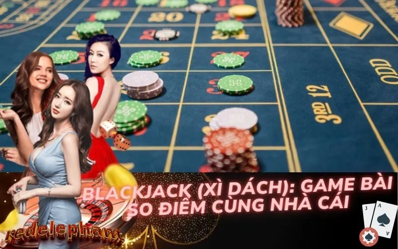 Blackjack (Xì Dách): Game Bài So Điểm Cùng Nhà Cái