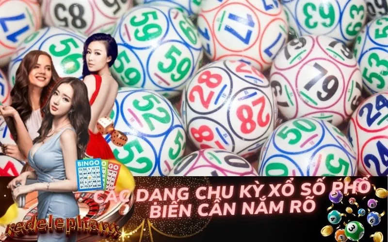 Các Dạng Chu Kỳ Xổ Số Phổ Biến Cần Nắm Rõ