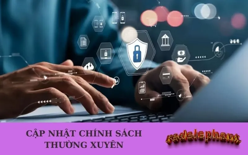 Cập nhật chính sách thường xuyên redelephant.biz