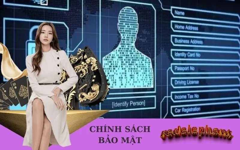 Chính Sách Bảo Mật redelephant.biz