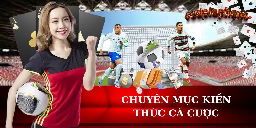 Chuyên Mục Kiến Thức Cá Cược