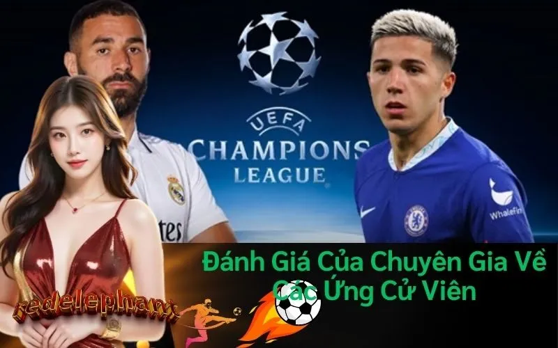 Đánh Giá Của Chuyên Gia Về Các Ứng Cử Viên