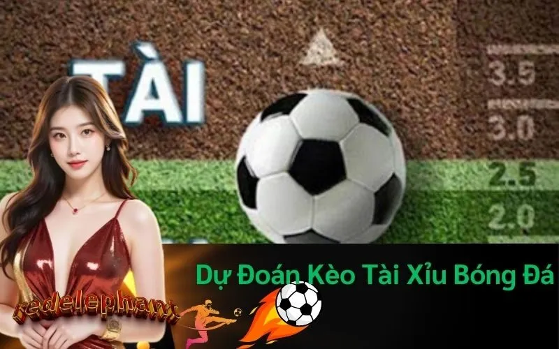 Dự Đoán Kèo Tài Xỉu Bóng Đá