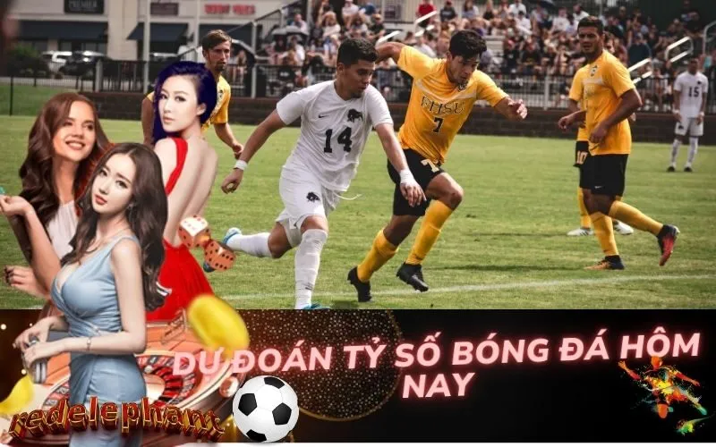 Dự Đoán Tỷ Số Bóng Đá Hôm Nay