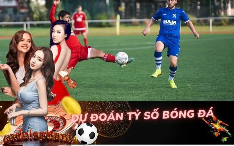 Dự Đoán Tỷ Số Bóng Đá