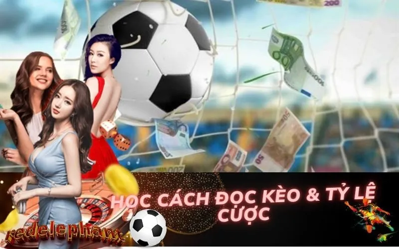 Học Cách Đọc Kèo & Tỷ Lệ Cược