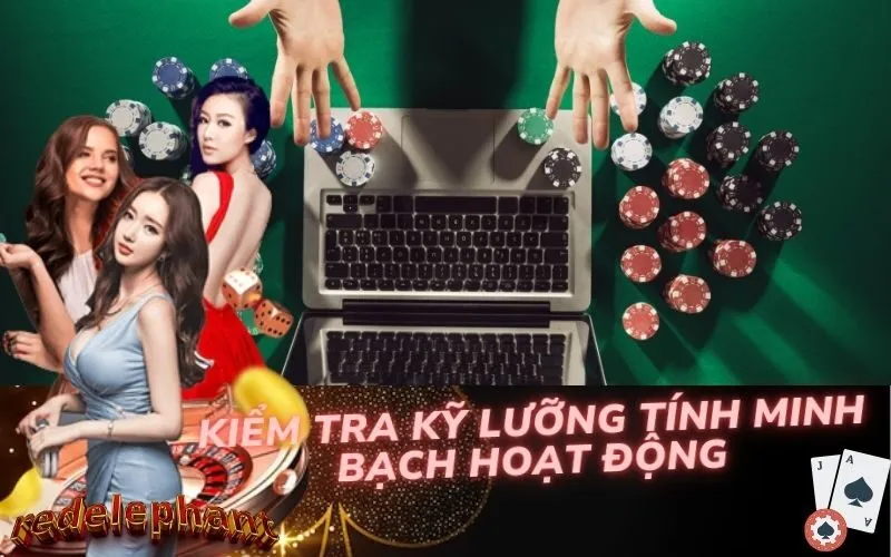 Kiểm Tra Kỹ Lưỡng Tính Minh Bạch Hoạt Động