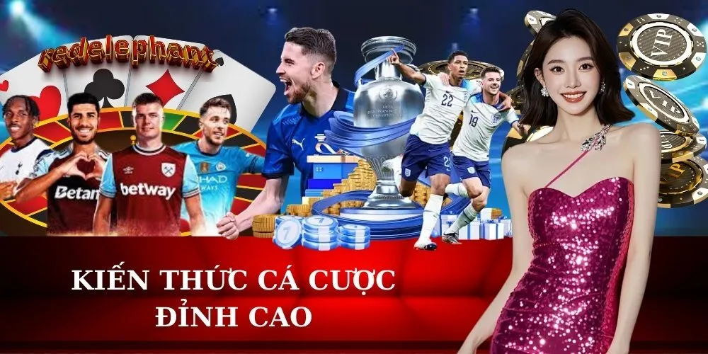 Kiến Thức Cá Cược Đỉnh Cao