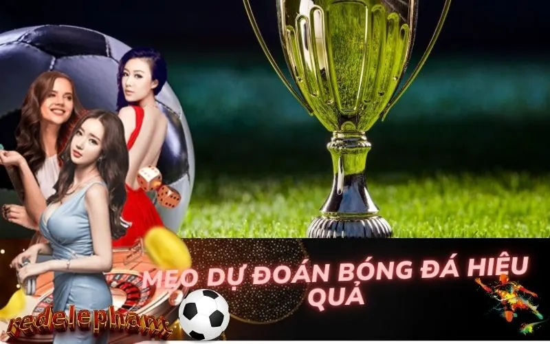 Mẹo Dự Đoán Bóng Đá Hiệu Quả