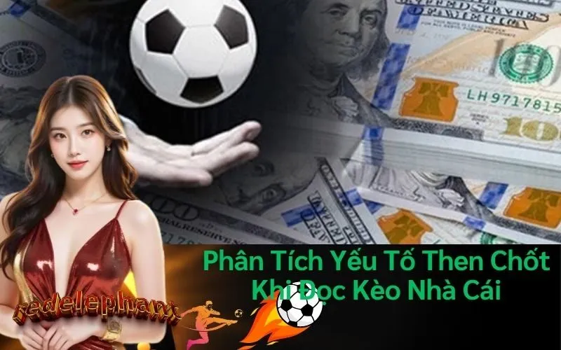 Phân Tích Yếu Tố Then Chốt Khi Đọc Kèo Nhà Cái
