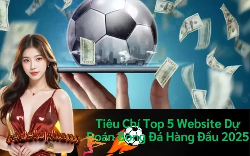 Tiêu Chí Top 5 Website Dự Đoán Bóng Đá Hàng Đầu 2025