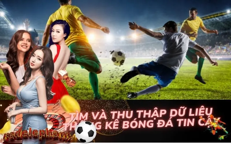 Tìm và Thu Thập Dữ Liệu Thống Kê Bóng Đá Tin Cậy