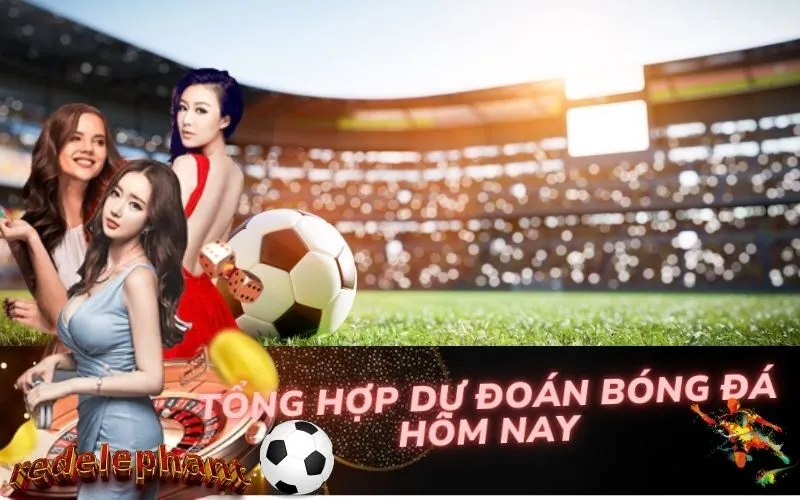 Tổng Hợp Dự Đoán Bóng Đá Hôm Nay
