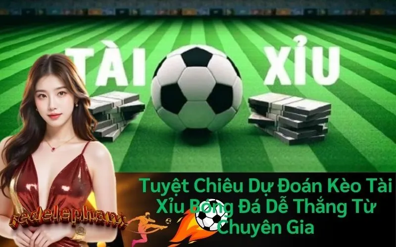 Tuyệt Chiêu Dự Đoán Kèo Tài Xỉu Bóng Đá Dễ Thắng Từ Chuyên Gia