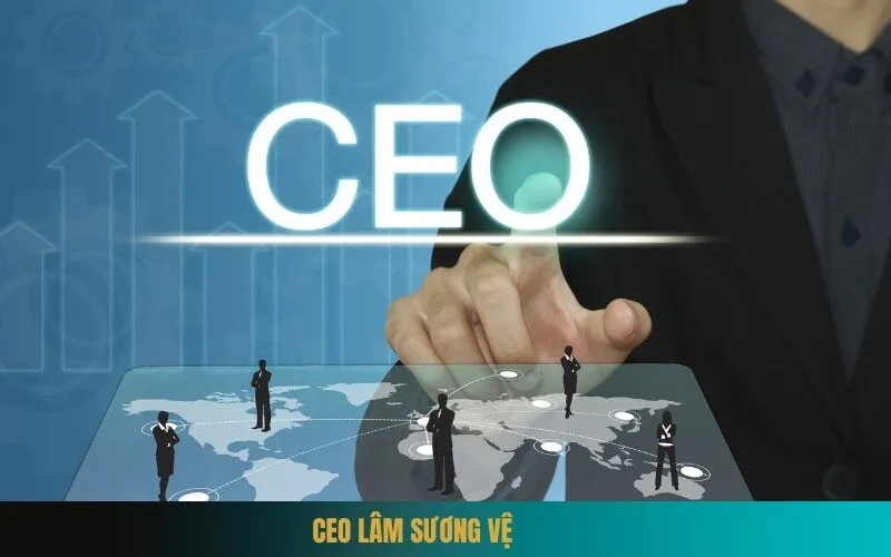 CEO Lâm Sương Vệ