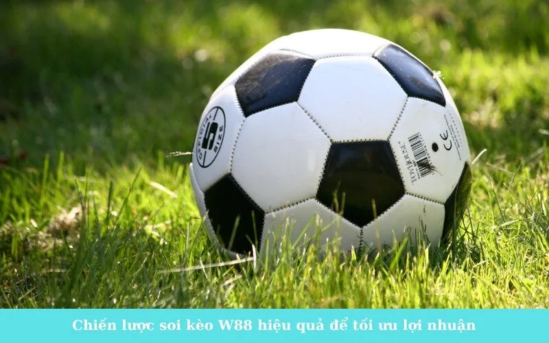 Chiến lược soi kèo W88 hiệu quả để tối ưu lợi nhuận