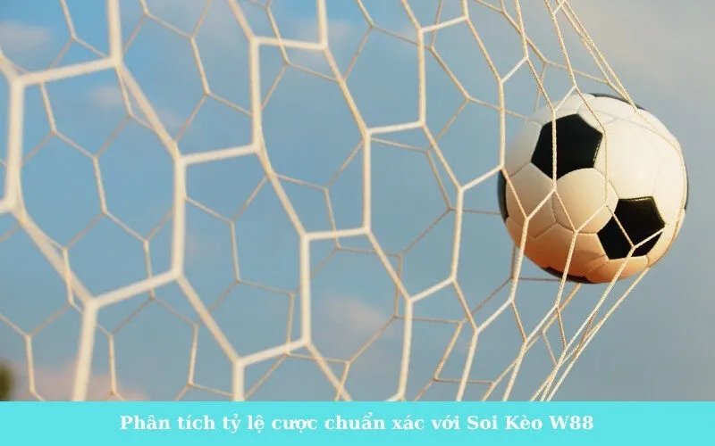 Phân tích tỷ lệ cược chuẩn xác với Soi Kèo W88